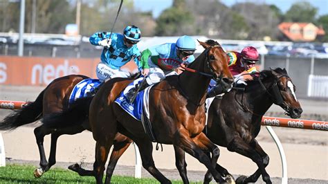 railway stakes field|Railway Stakes Barrier Draw 2023 .